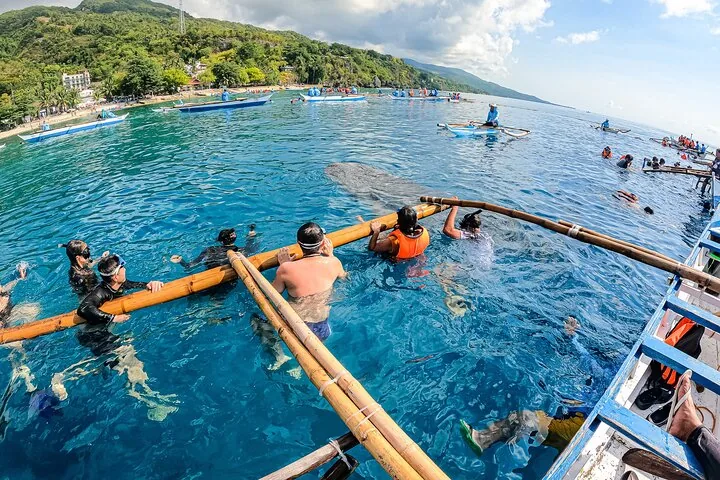 Group of tourists in life vests watching a whale shark from a boat's outrigger.